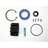 Volvo Penta Raw Water Sea Pump Rebuild Service Kit - 21951348  - JSP